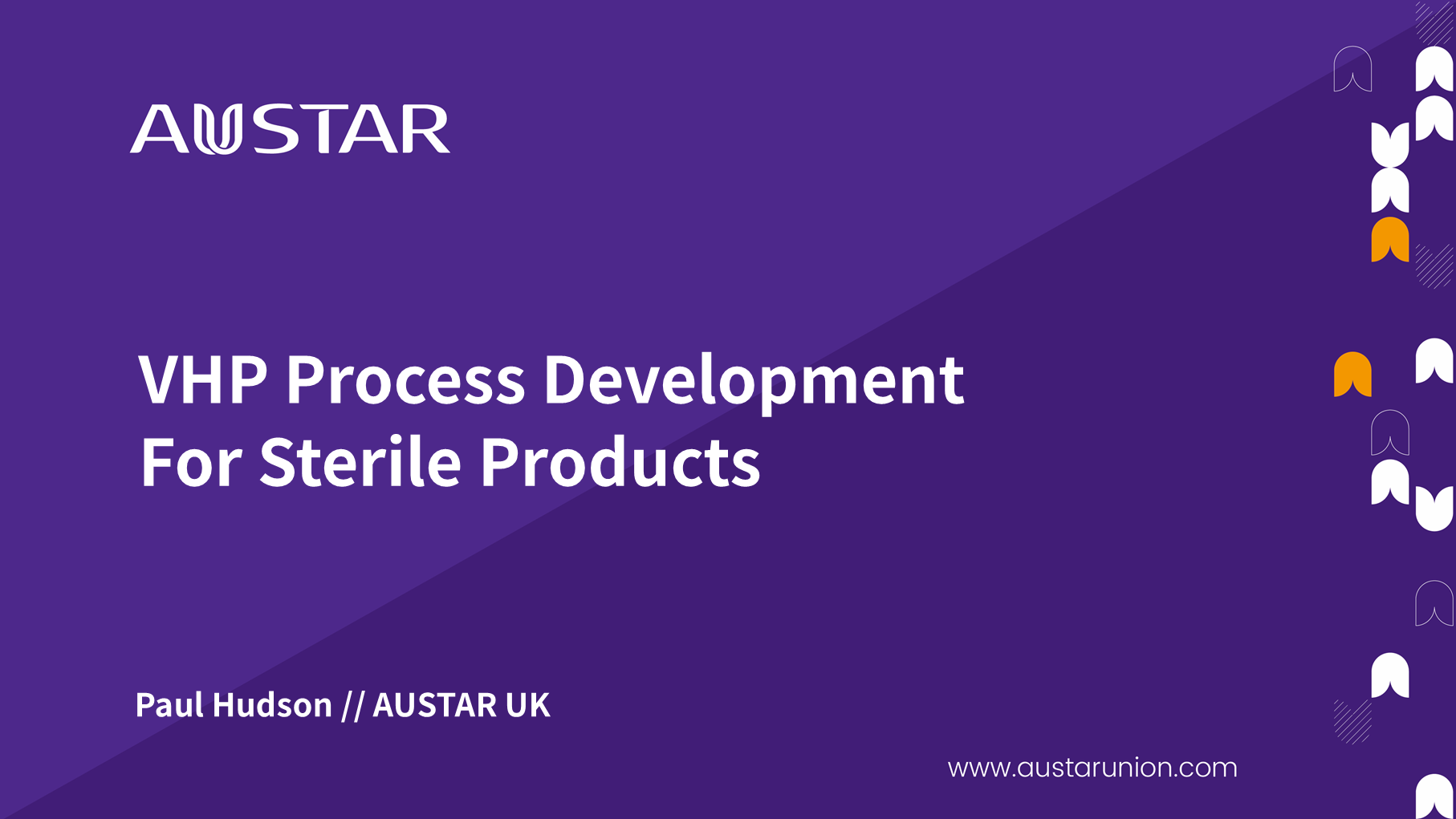 VHP Process Development For Sterile Products